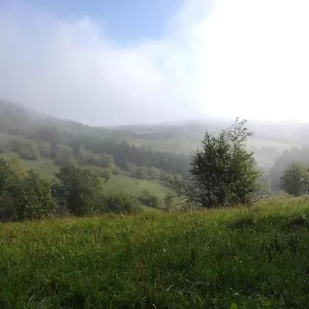 Spacious In In Nature Park